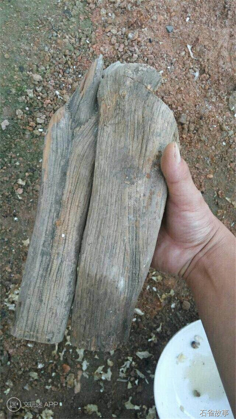石雀故事