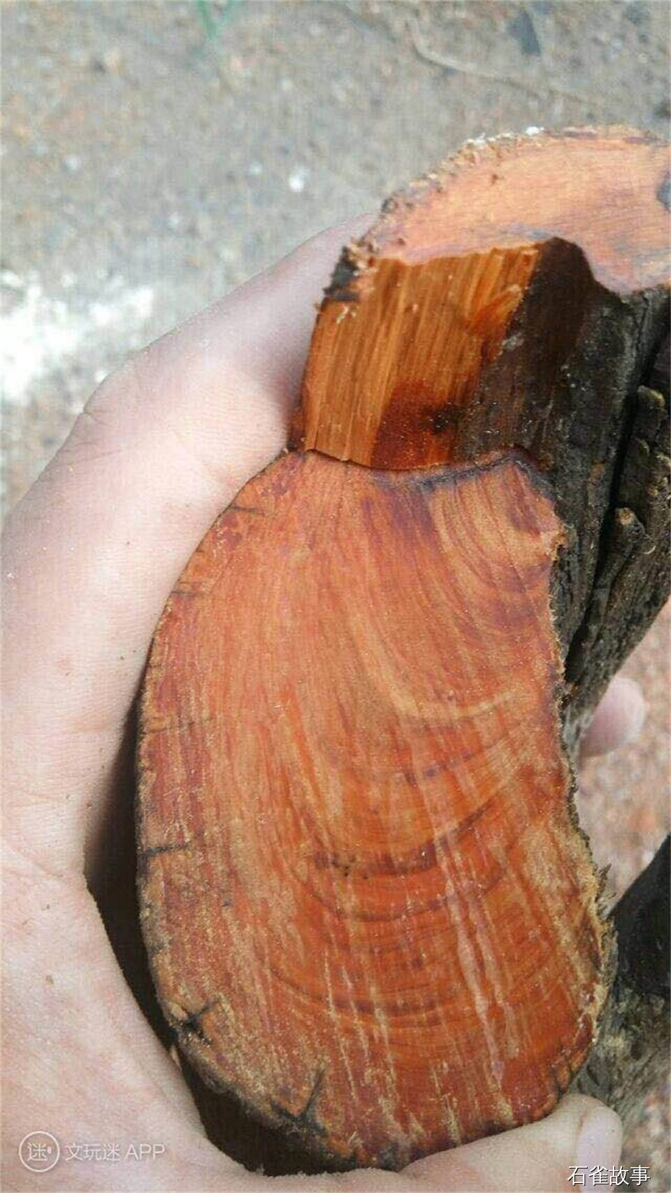 石雀故事