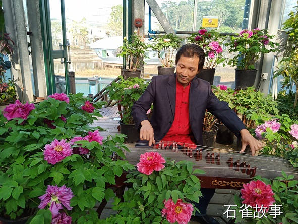 石雀故事