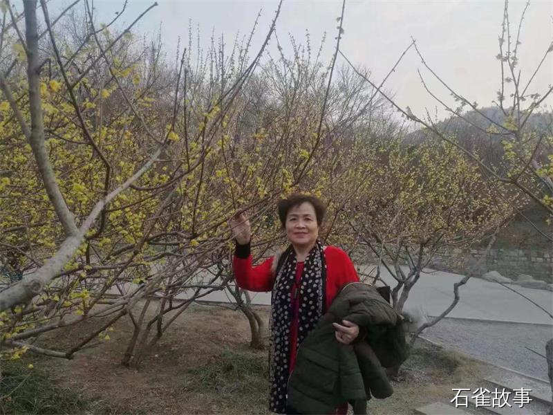 石雀故事