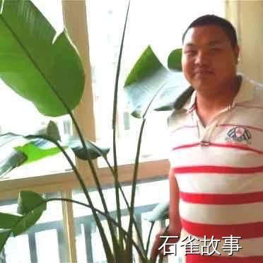 石雀故事
