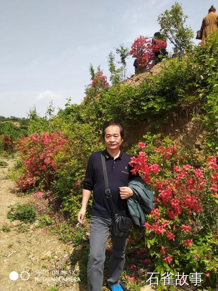 石雀故事