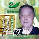 石雀故事
