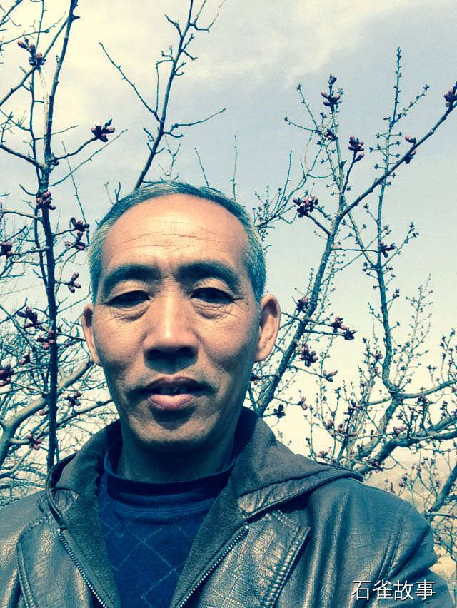 石雀故事