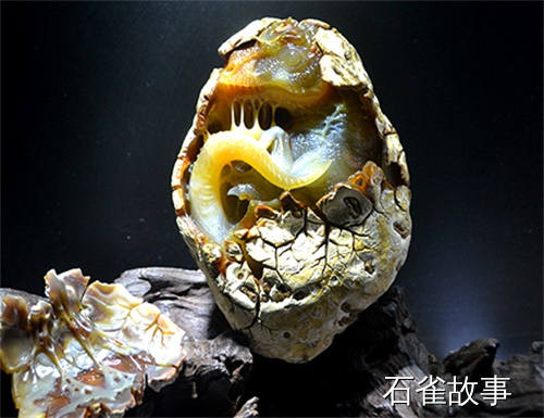 石雀故事